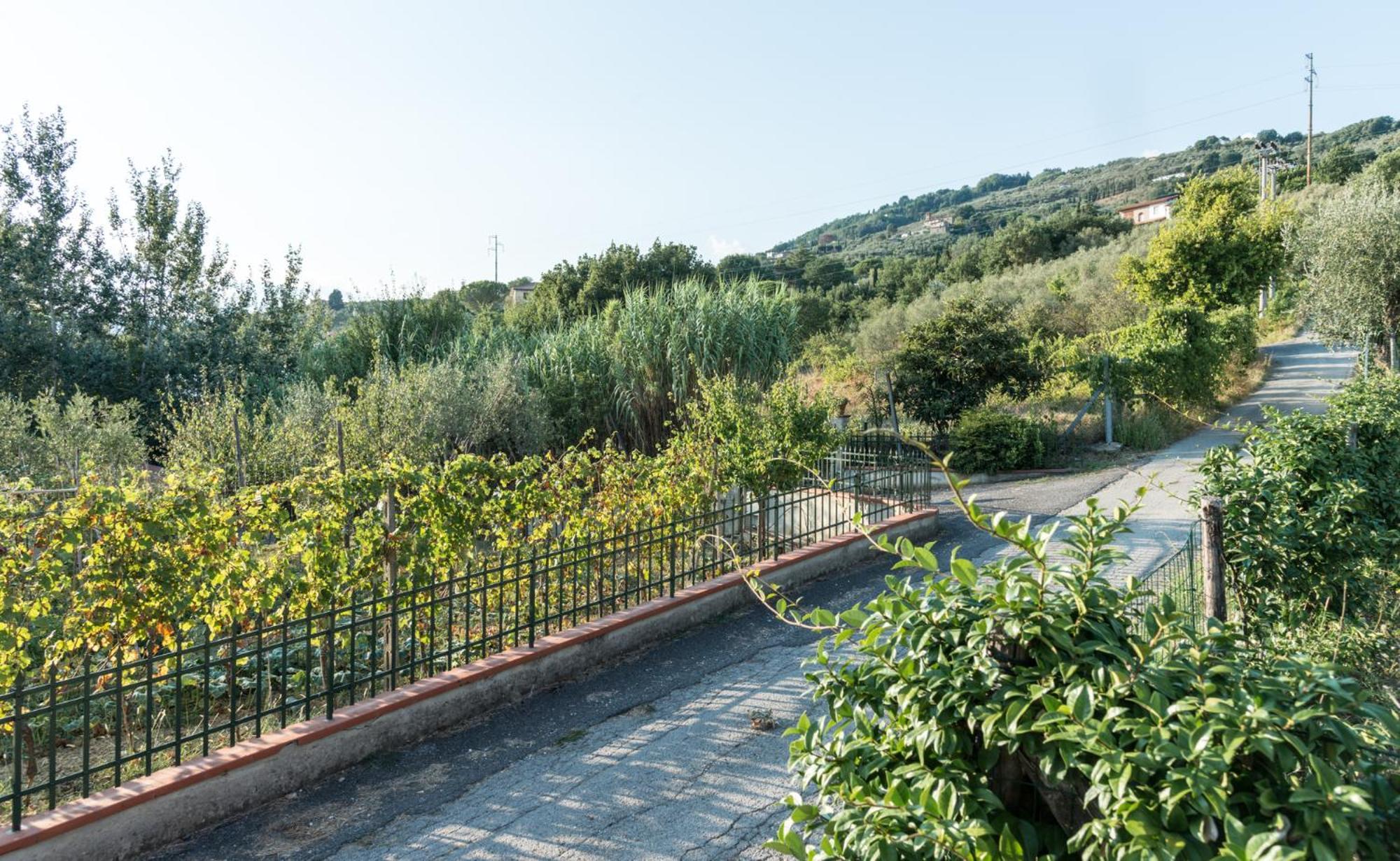Fuga In Toscana Борго-а-Буджано Экстерьер фото