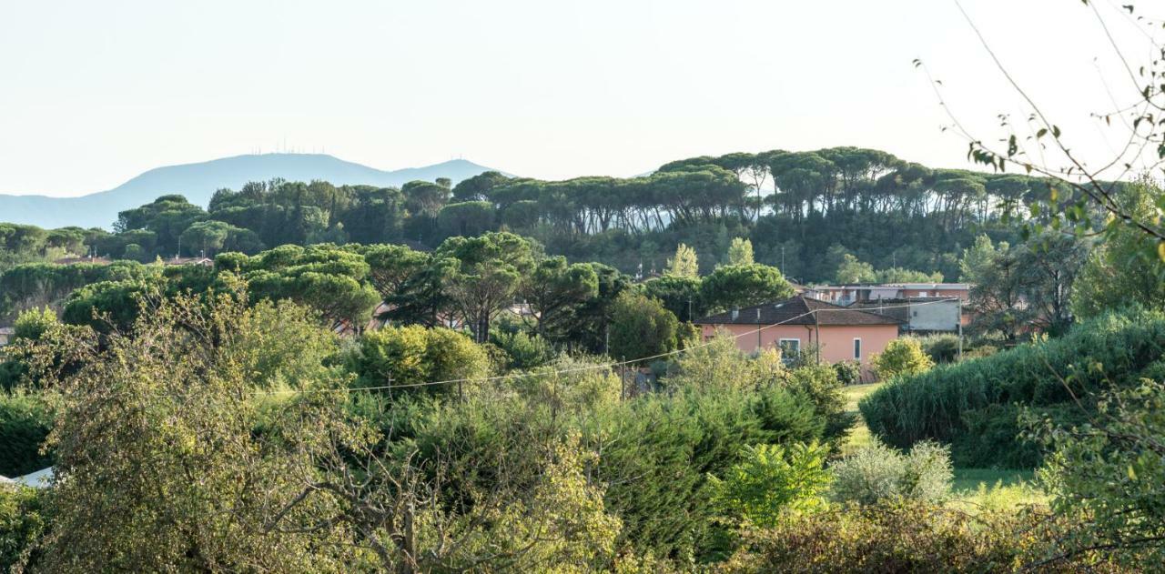 Fuga In Toscana Борго-а-Буджано Экстерьер фото